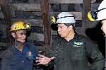 Các bệnh nghề nghiệp thường gặp trong khai thác mỏ